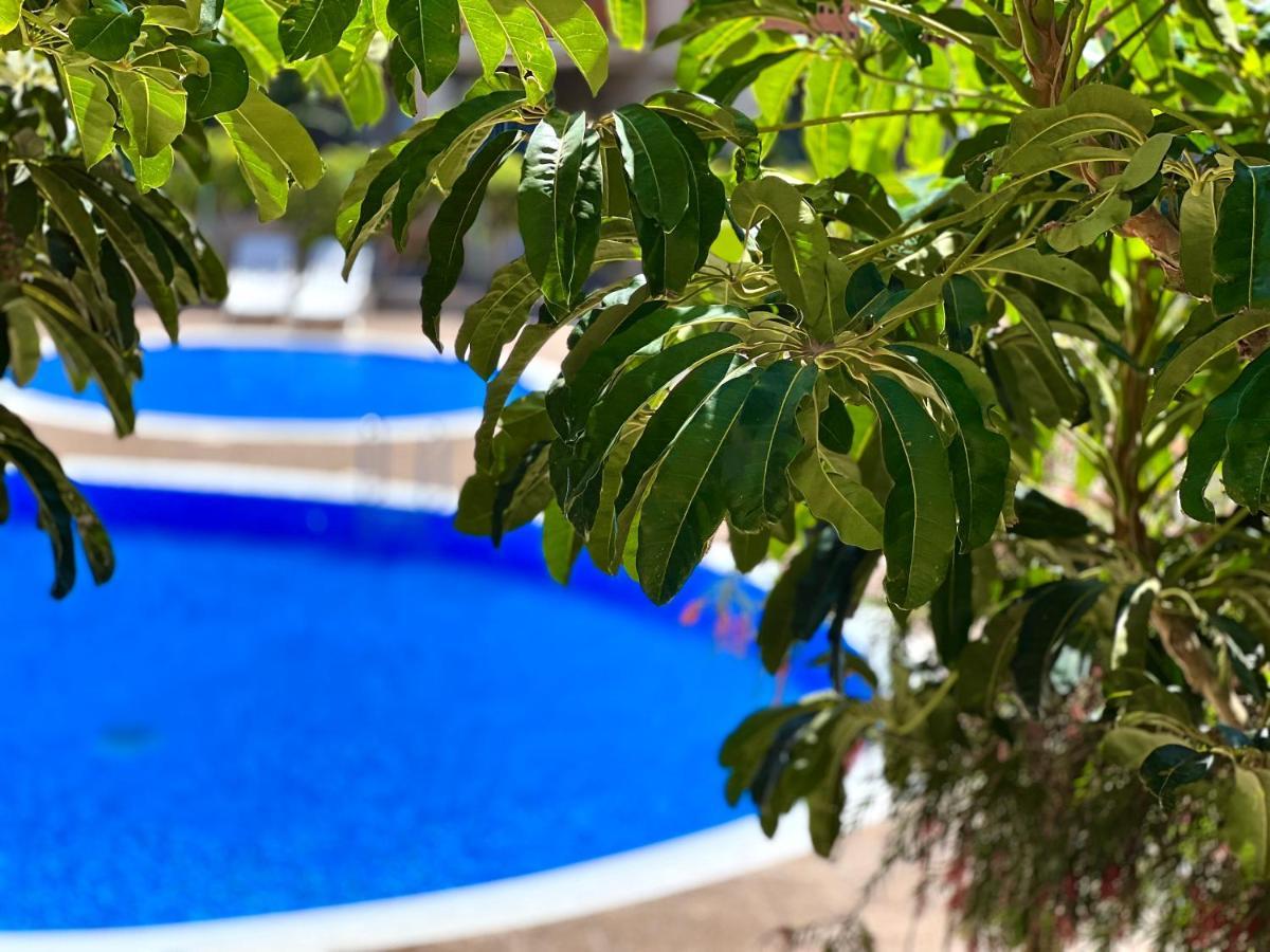 Apartment With Garden Vista Roja La Tejita Ngoại thất bức ảnh